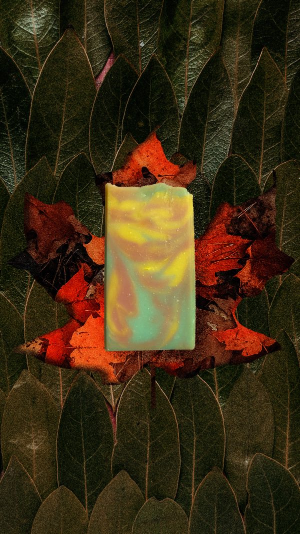 Garden Party (Fall Vibes) Artisan Soap by archer+alex